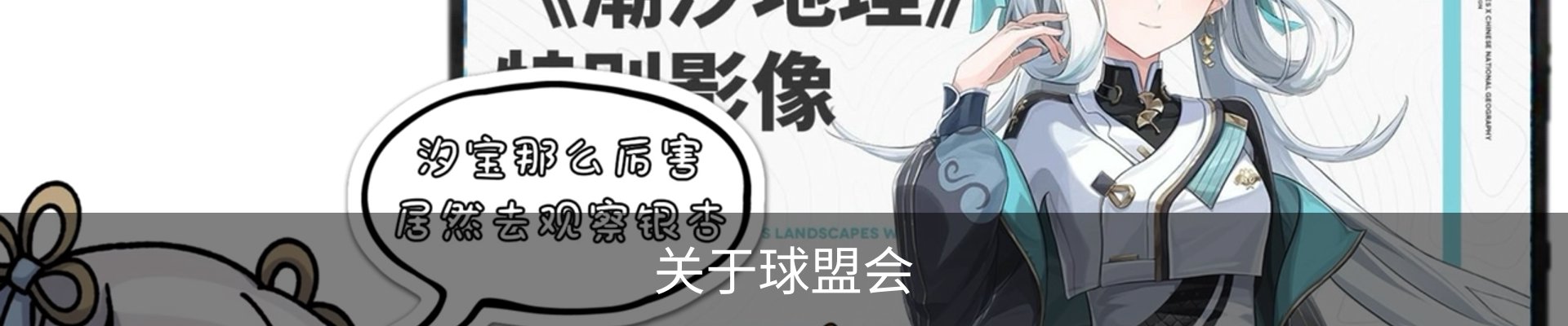 关于球盟会